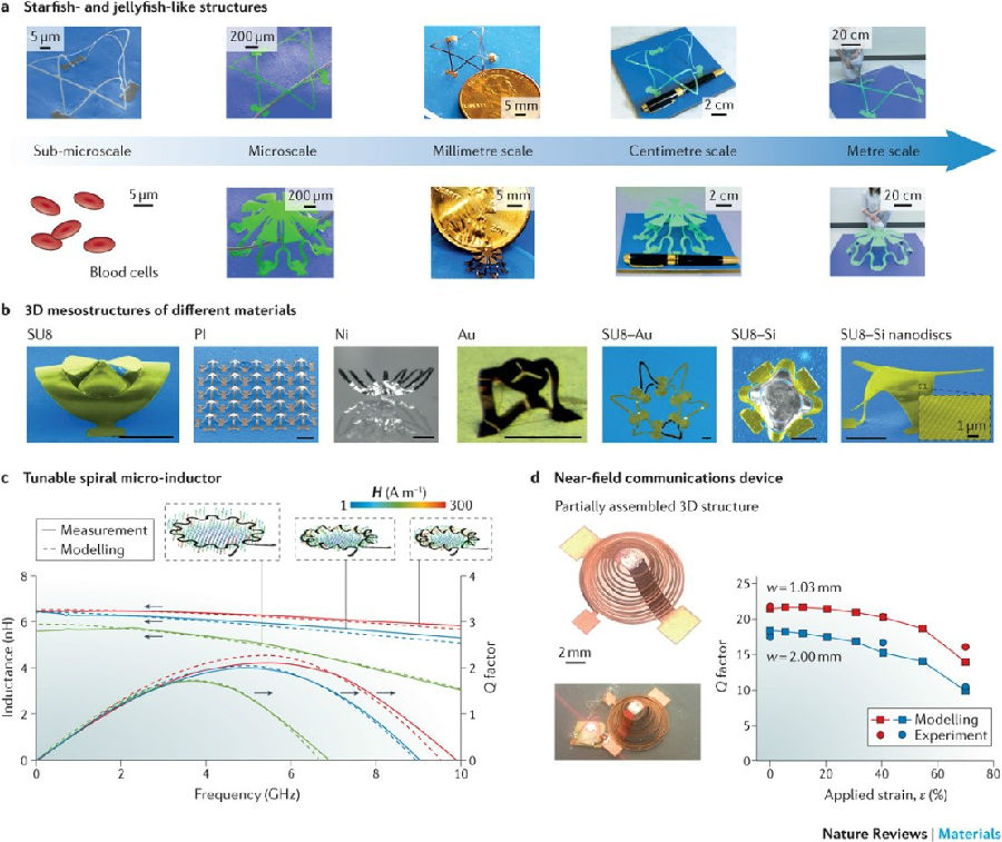 力学引导的微尺度三维结构组装方法适用于各个特征尺度和多种材料类型的三维组装